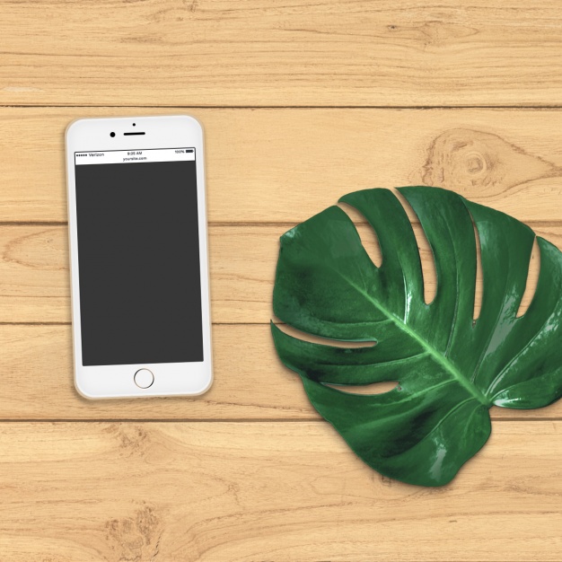 iOS development in thrissur
